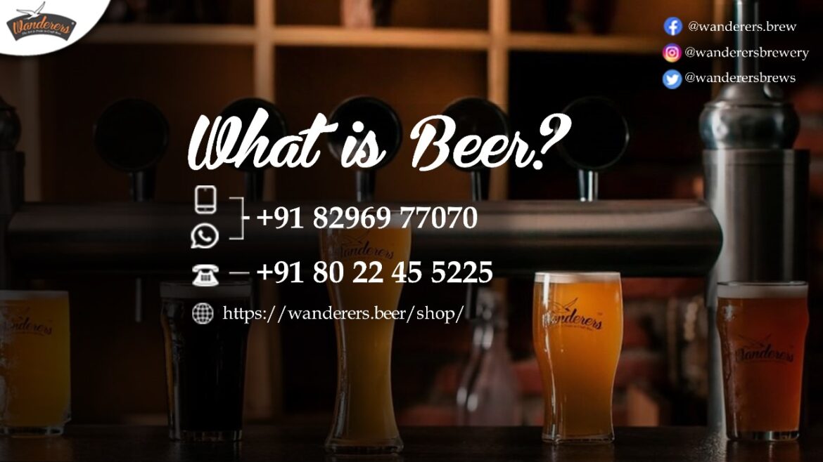 What is beer?, Wanderers Craft Brewery & Artisan Cafe , Brewery, Beer